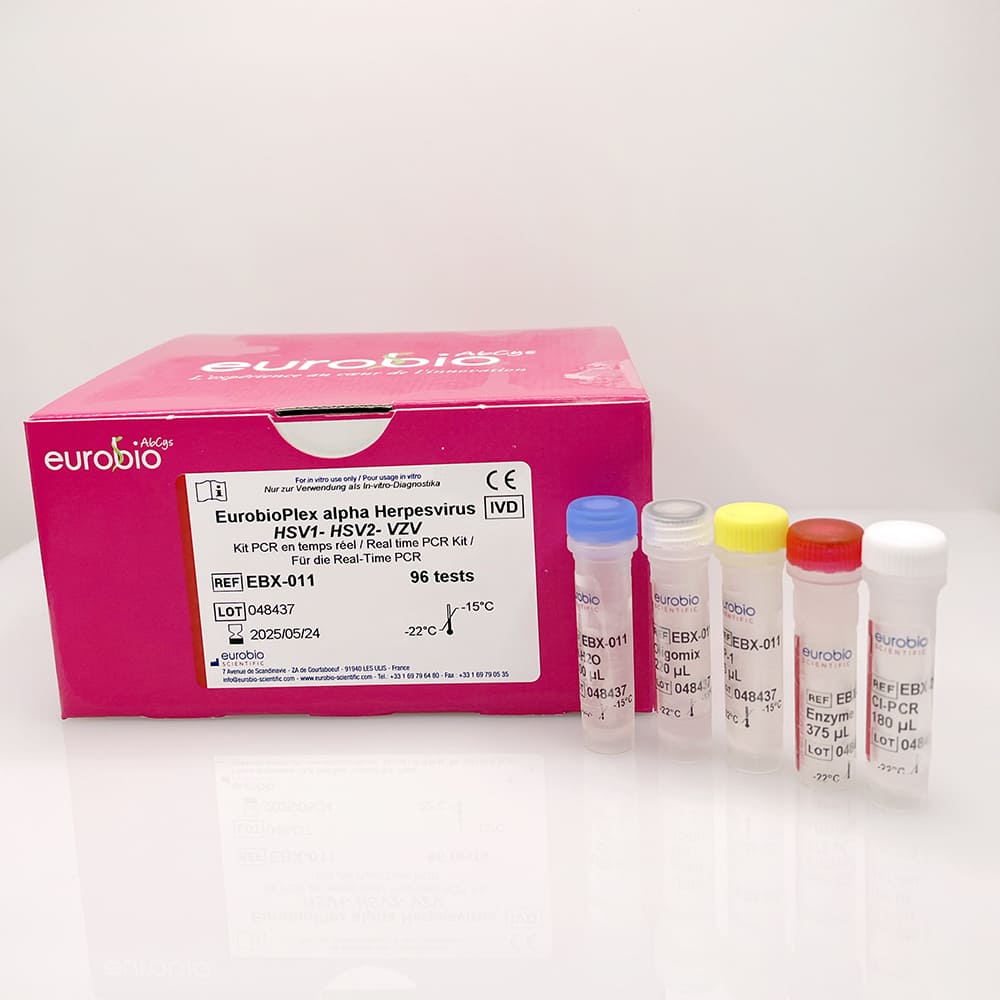 EBX-011 Kit de réactifs de biologie moléculaire Eurobioplex HSV1, HSV2, VZV