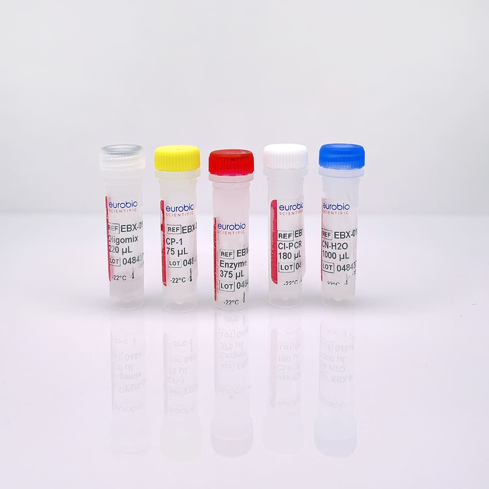 EBX-011 Kit de réactifs de biologie moléculaire Eurobioplex HSV1, HSV2, VZV