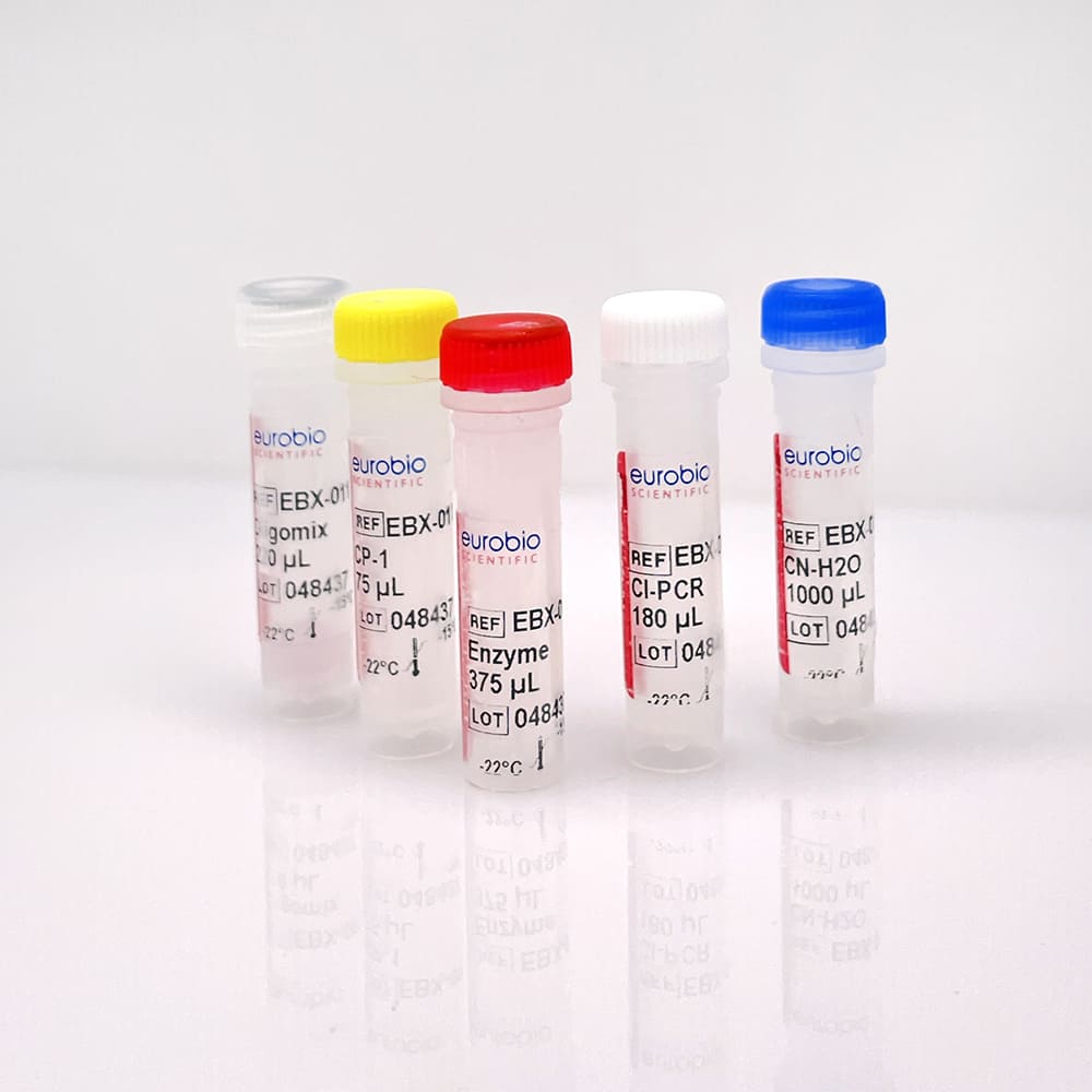 EBX-011 Kit de réactifs de biologie moléculaire Eurobioplex HSV1, HSV2, VZV