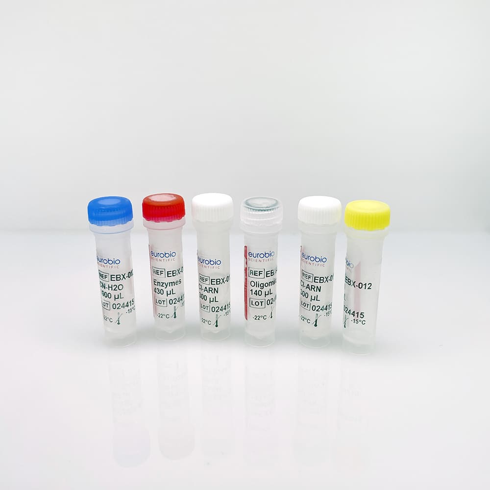 EBX-012 Kit de réactifs de biologie moléculaire Eurobioplex Zikavirus