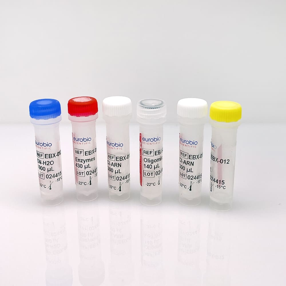 EBX-012 Kit de réactifs de biologie moléculaire Eurobioplex Zikavirus