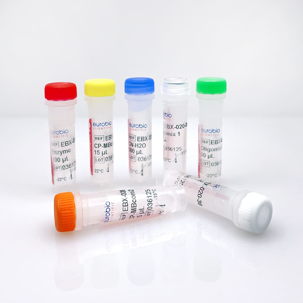 EBX-020 EurobioPlex Méningite bactérienne communautaire molecular biology reagent kit