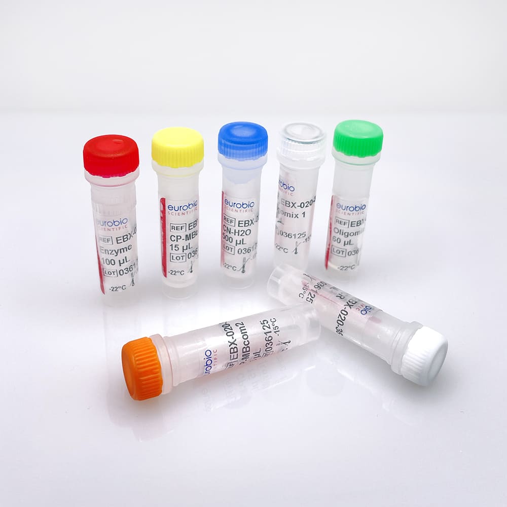 EBX-020 EurobioPlex Méningite bactérienne communautaire molecular biology reagent kit