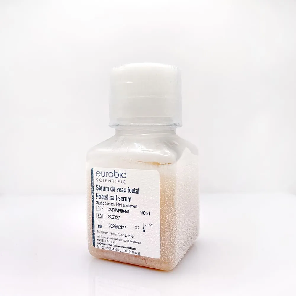 Fetal calf Serum – Image 4
