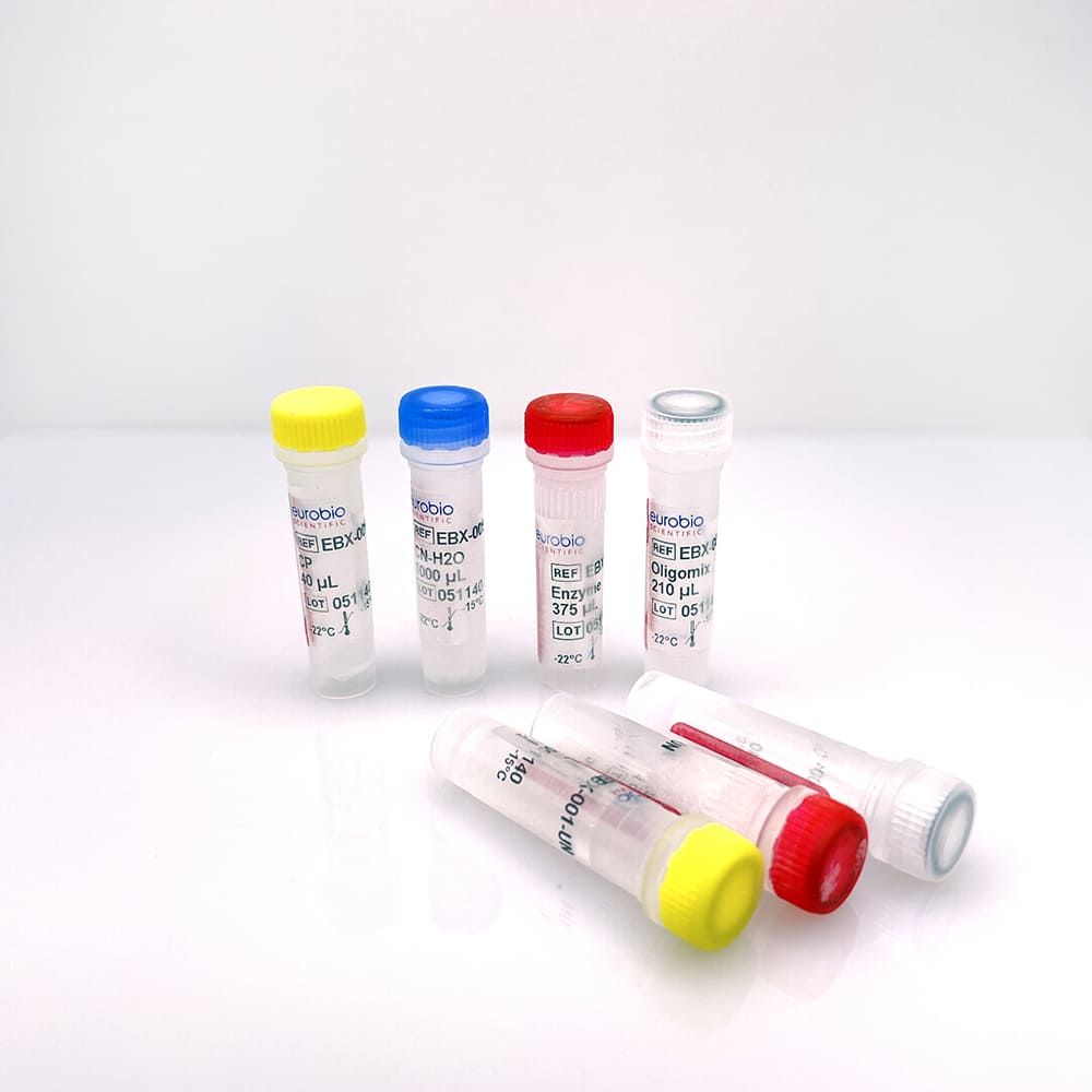 EBX-001 Kit de reactivos de biología molecular EurobioPlex Bordetella Triplex-006