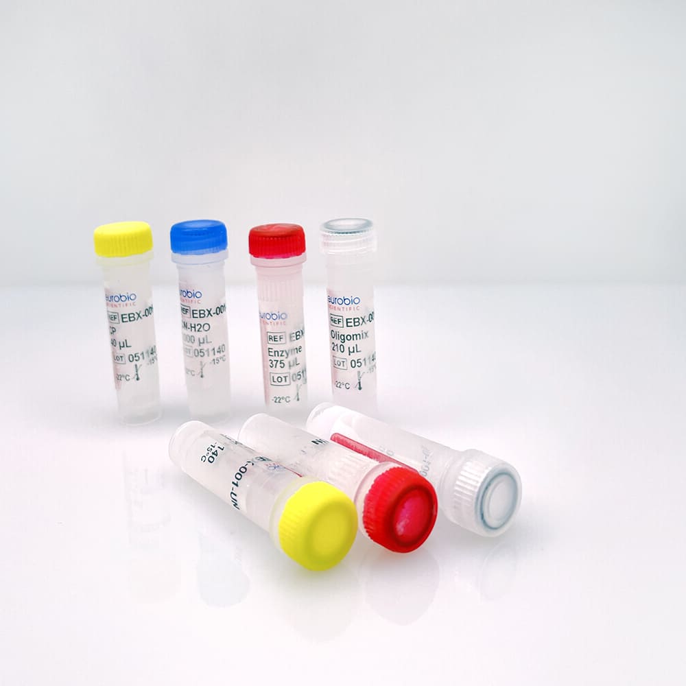EBX-001 Kit de reactivos de biología molecular EurobioPlex Bordetella Triplex-006