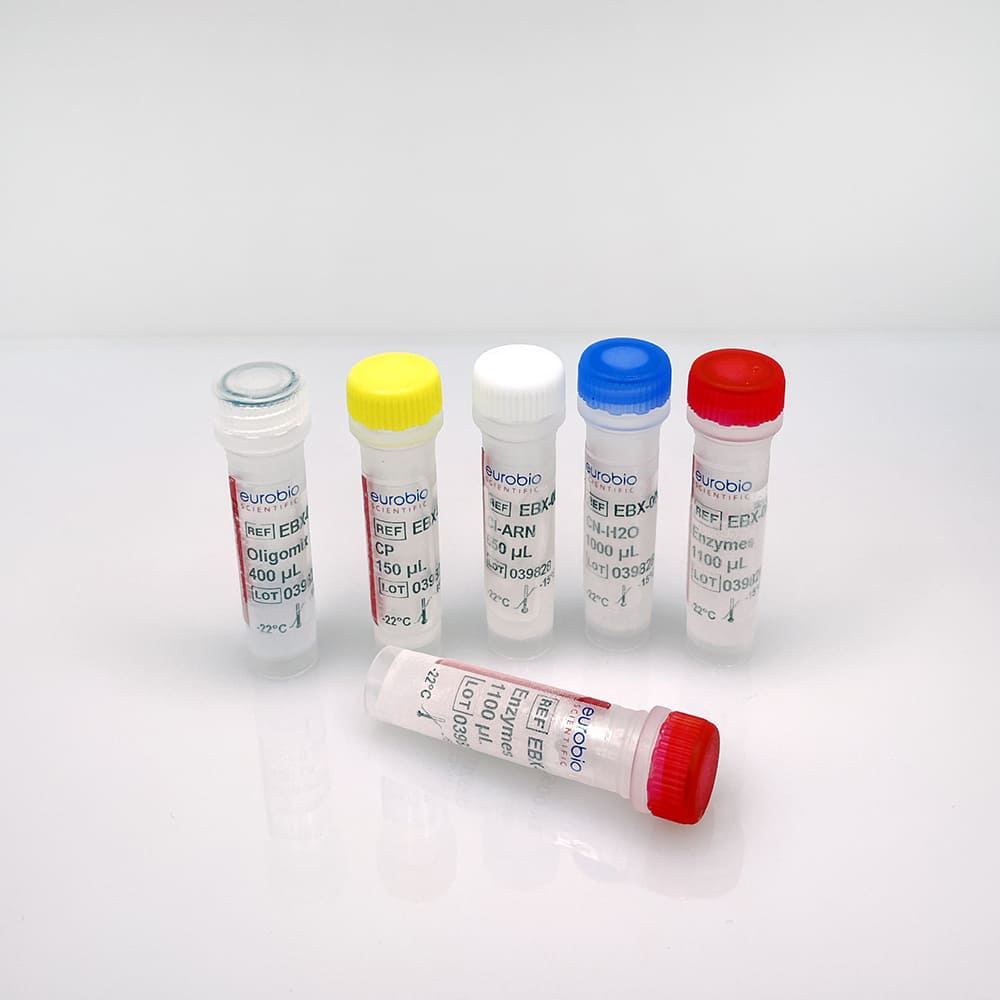 EBX-005 EurobioPlex Leptospire molecular biology reagent kit