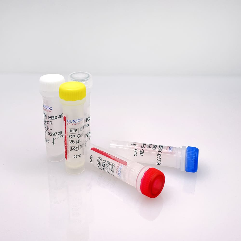 EBX-017 EurobioPlex Coxiella Burnetii kit de reactivos de biología molecular