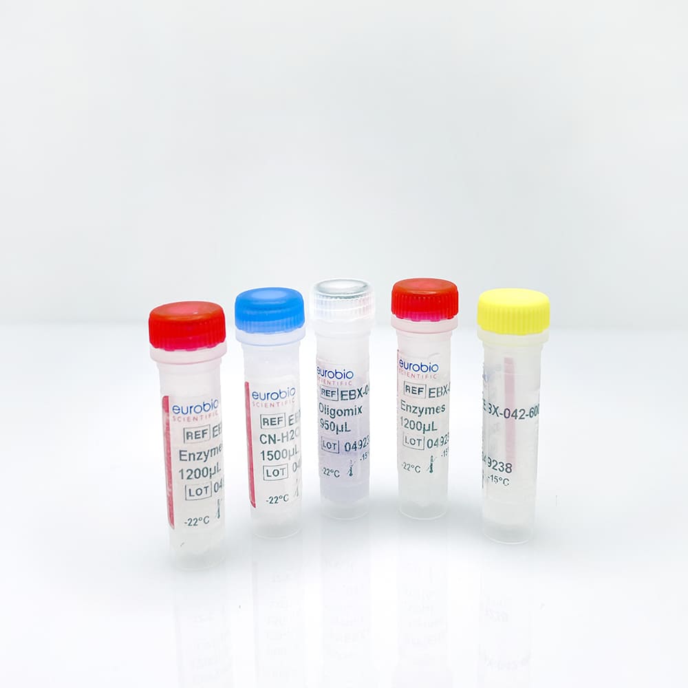 EBX-042 EurobioPlex FluCoSyn molecular biology reagent kit
