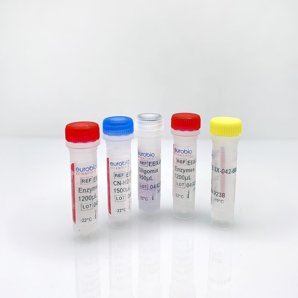 EBX-042 EurobioPlex FluCoSyn molecular biology reagent kit