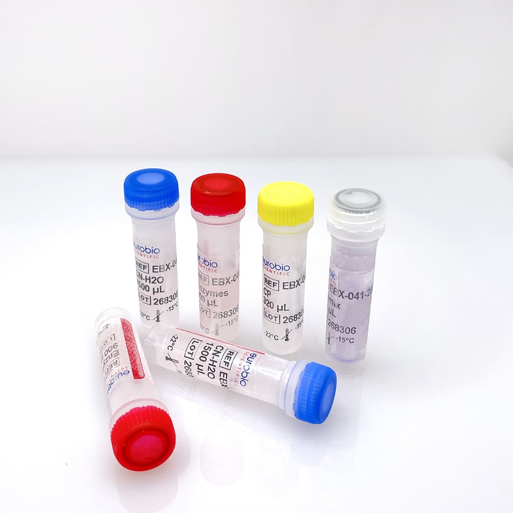 EBX-041 Eurobioplex SARS-CoV-2 Multiplex-Reagenziensatz für die Molekularbiologie