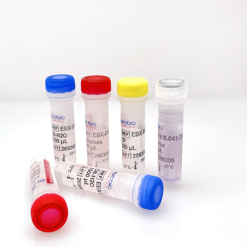 EBX-041 Eurobioplex SARS-CoV-2 Multiplex-Reagenziensatz für die Molekularbiologie