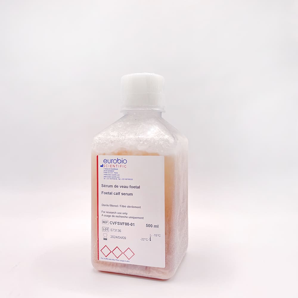 SVF: Serum de Veau Fœtal