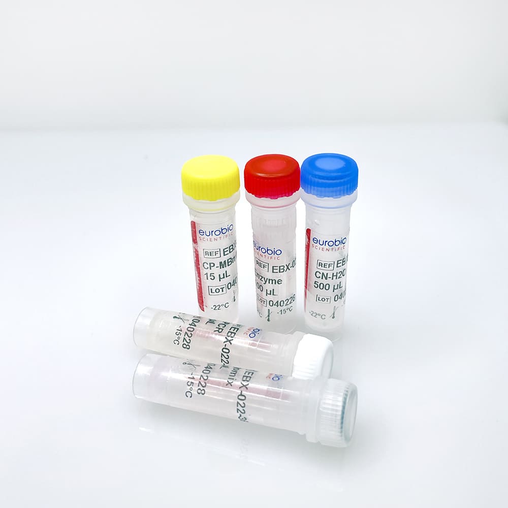 EurobioPlex Noenatal bacterial meningitis – Image 2