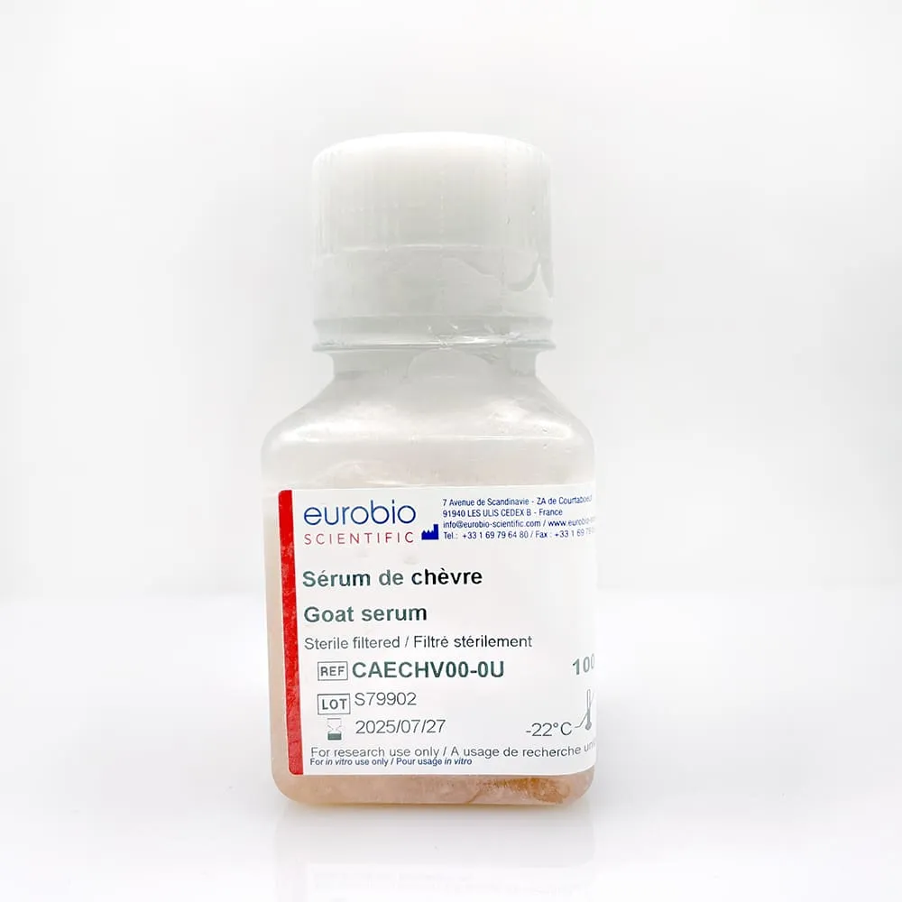 Heat-Inactivated Fetal calf Serum – Image 2