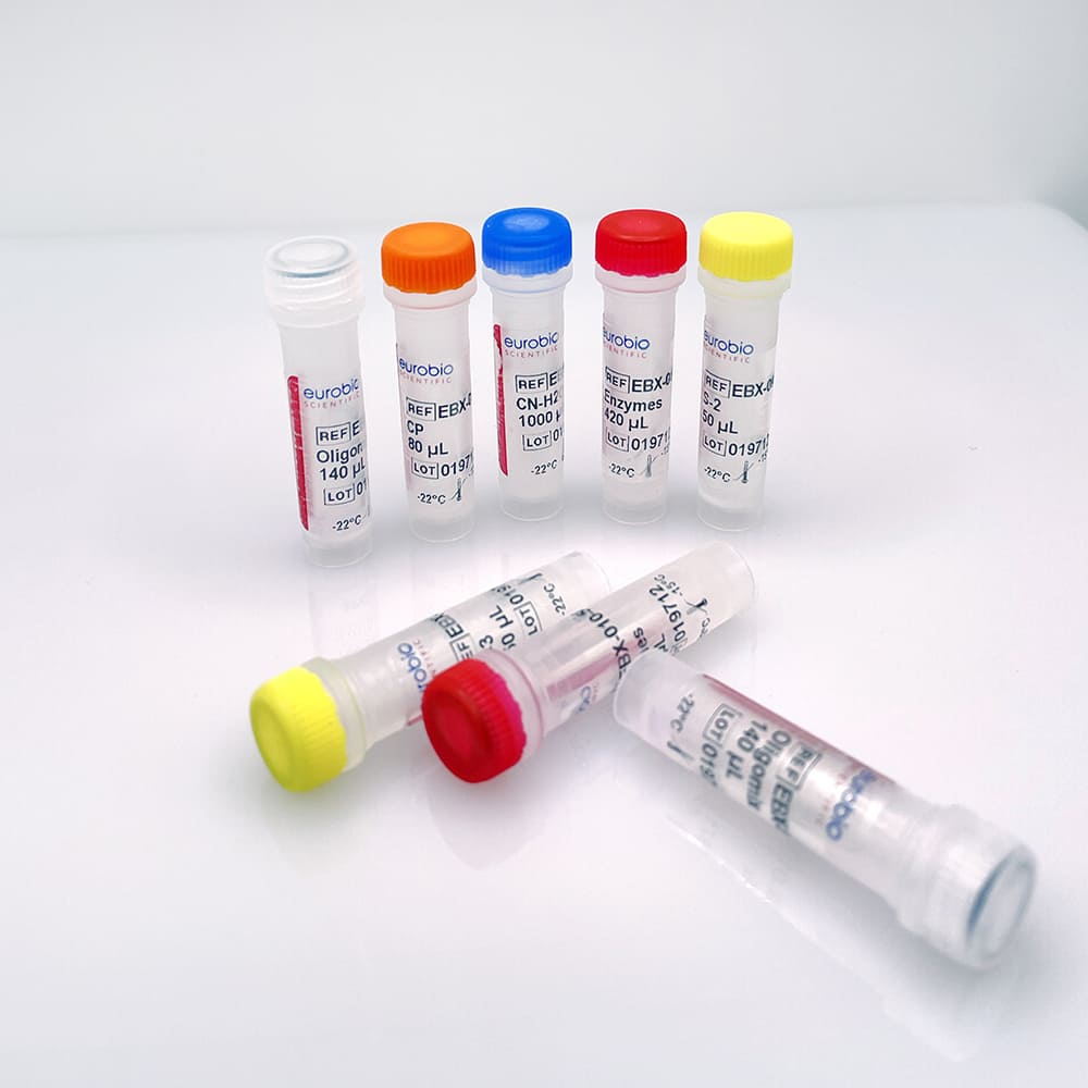 EBX-010 EurobioPlex HEV molecular biology reagent kit