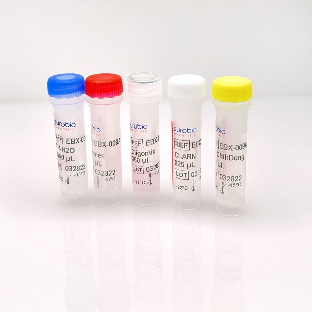 EurobioPlex Chikungunya / Dengue - Image 3