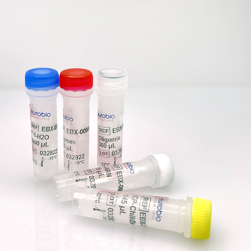 EurobioPlex Chikungunya / Dengue - Image 2