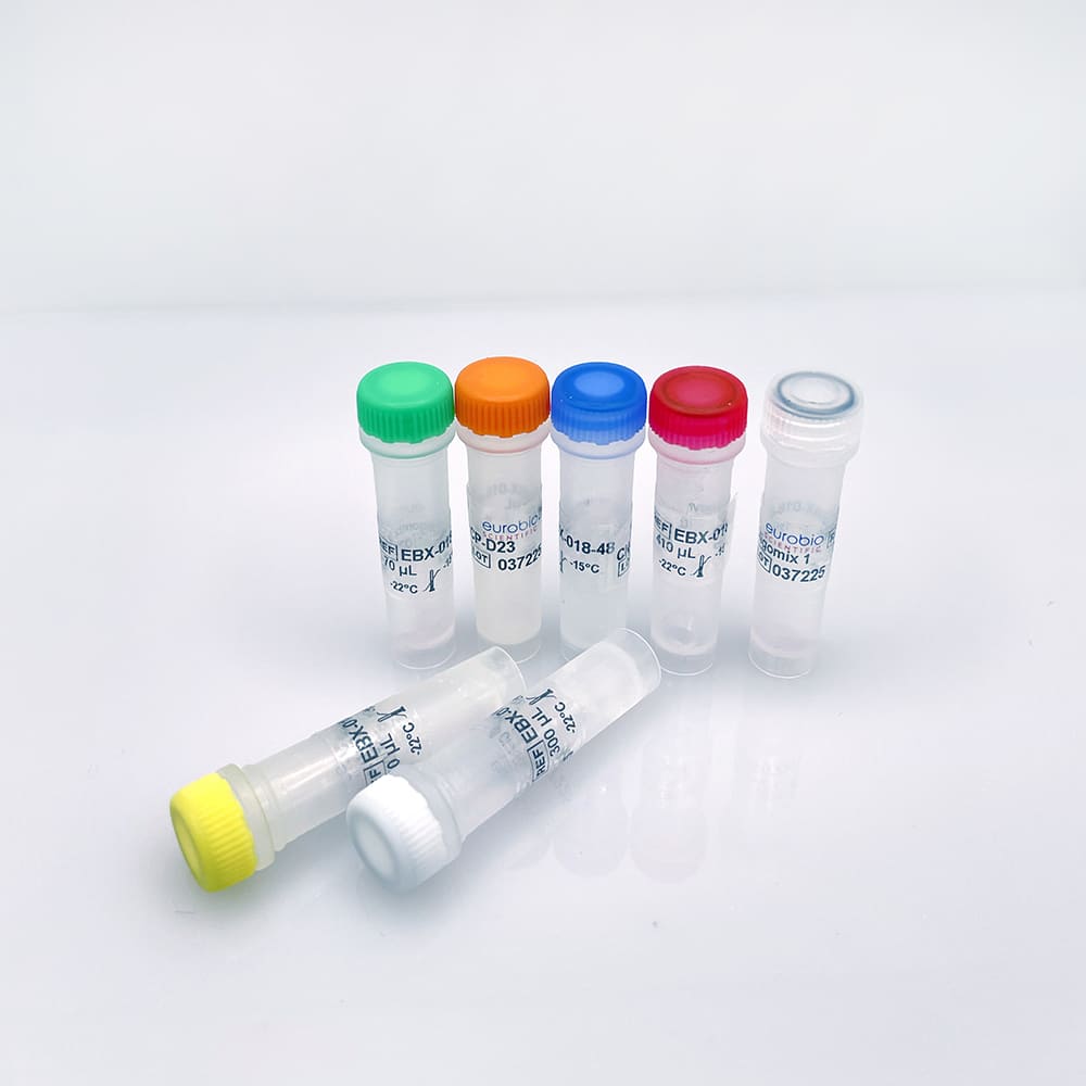 EBX-018 Eurobioplex Dengue 1,2,3,4 molecular biology reagent kit