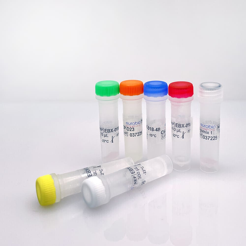 EBX-018 Eurobioplex Dengue 1,2,3,4 molecular biology reagent kit