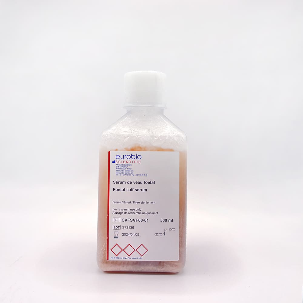 Fetal calf Serum - immagine 3