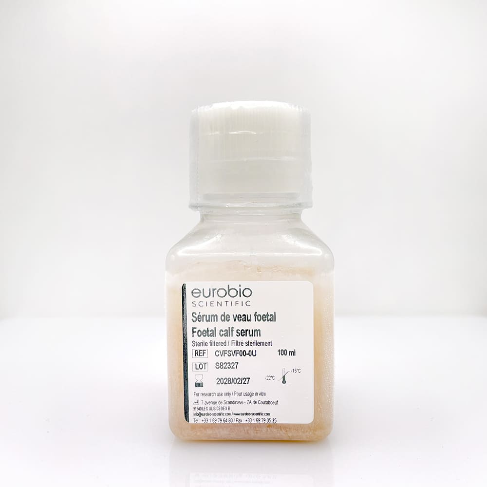 Fetal calf Serum - immagine 2