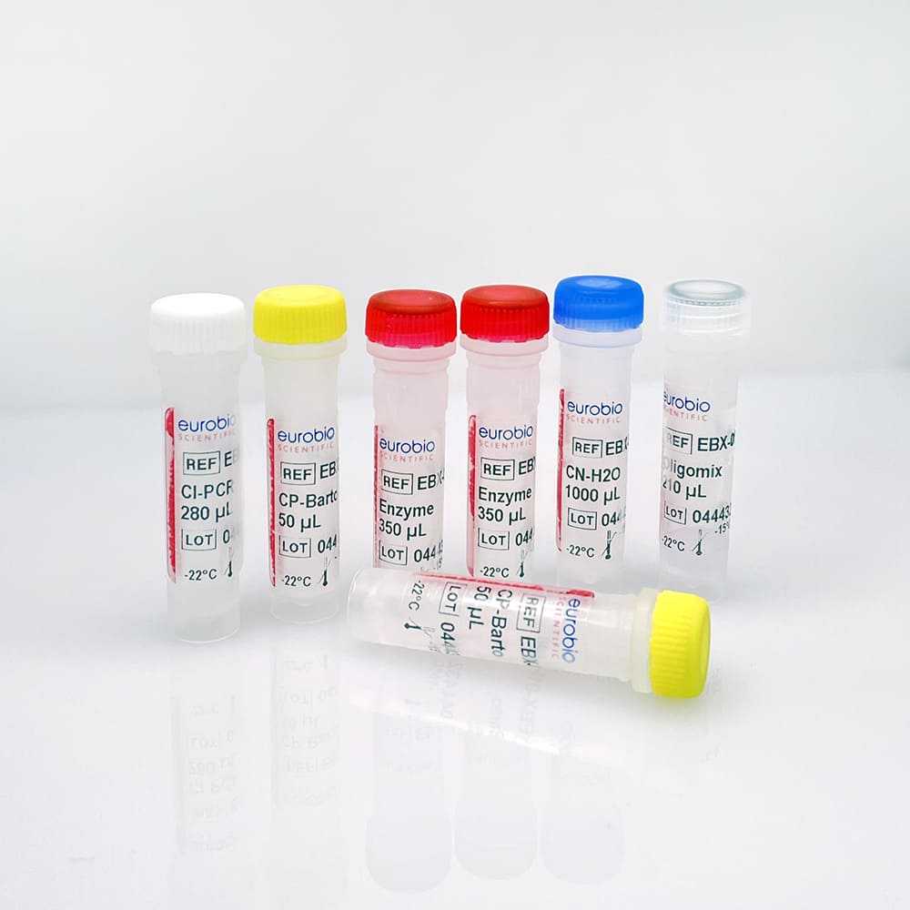 EBX-013 EurobioPlex Bartonella molecular biology reagent kit