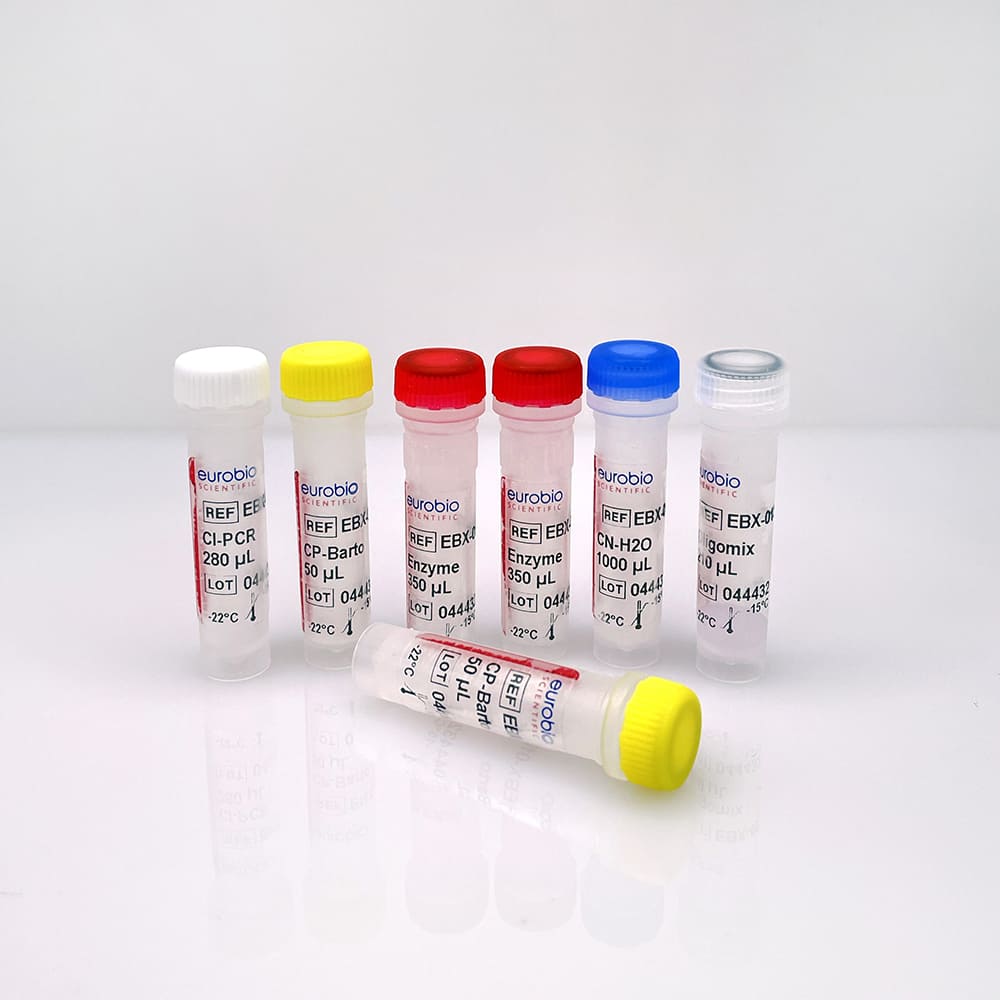 EBX-013 EurobioPlex Bartonella molecular biology reagent kit