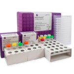 NGS-Pronto prep and ProntoAmp kits for 11-loci HLA typing using nanopore sequencing